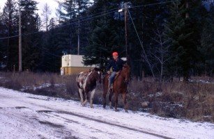 Gordon Speechley with horses on Barnes Road 1971 (BC Tel trailer in background)-Darren Bond collection